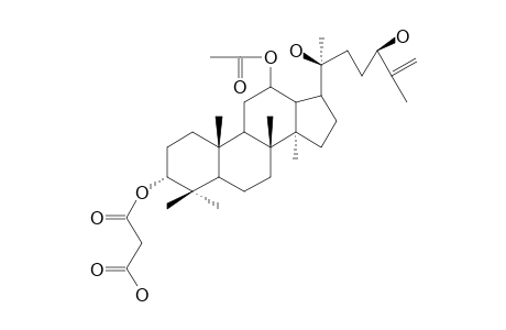 12-O-ACETYL-3-ALPHA,12-BETA,20(S),24(R)-TETRAHYDROXY-DAMMAR-25-EN-3-YL_HYDROGEN_PROPANEDIONATE