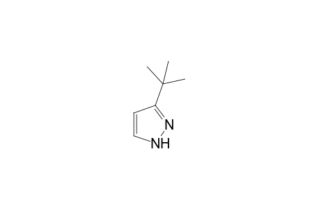 3-tert-BUTYLPYRAZOLE