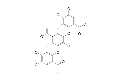 DEHYDROTRIGALLIC ACID