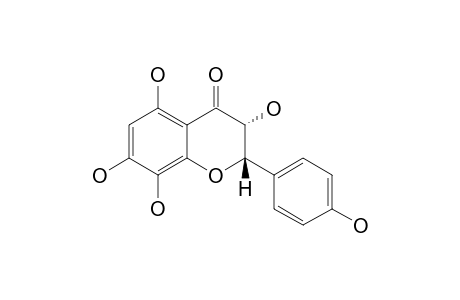 5,7,8,4'-TETRAHYDROXYDIHYDROFLAVONOL;8-HYDROXYDIHYDROKAEMPFEROL