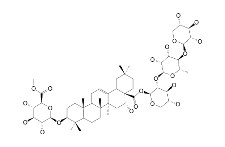 SCABEROSIDE-A2;3-O-BETA-[6-O-METHYL-GLUCURONOPYRANOSYL]-ECHINOCYSTIC-ACID-28-O-[XYLOPYRANOSYL-(1->4)-RHAMNOPYRANOSYL-(1->2)-XYLOPYRANOSYL]-ESTER