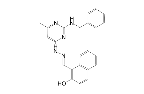 2-hydroxy-1-naphthaldehyde [2-(benzylamino)-6-methyl-4-pyrimidinyl]hydrazone