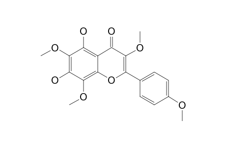 ARANEOSOL