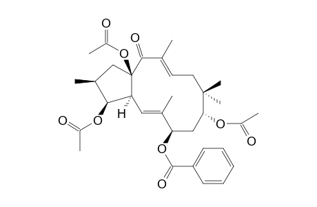 PUBESCENE_A