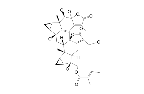 CHLORAMULTILIDE_D