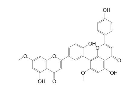 7,7''-dimethoxyamentoflavone