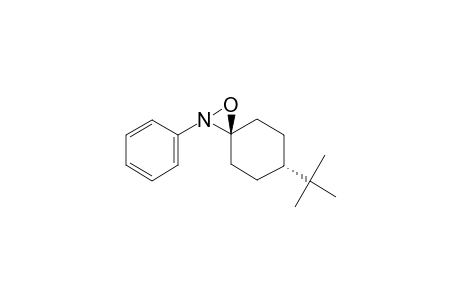 (TRANS)-6-TERT.-BUTYL-2-PHENYL-1-OXA-2-AZASPIRO-[2.5]-OCTANE