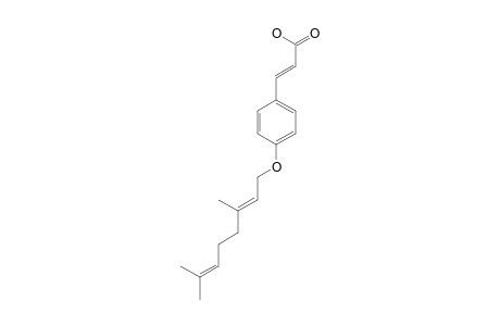 (E)-3-{4-[(E)-3,7-DIMETHYLOCTA-2,6-DIENYLOXY]-PHENYL}-PROP-2-ENOIC_ACID