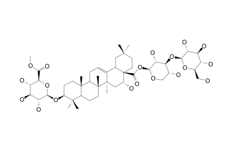 TRAGOPOGONOSIDE-D;3-O-BETA-[6-O-METHYL-GLUCURONOPYRANOSYLECHINOCYSTIC-ACID-28-O-[GLUCOPYRANOSYL-(1->3)-XYLOPYRANOSYL]-ESTER