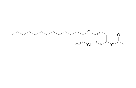 Tetradecanoyl chloride, 2-[4-(acetyloxy)-3-(1,1-dimethylethyl)phenoxy]-