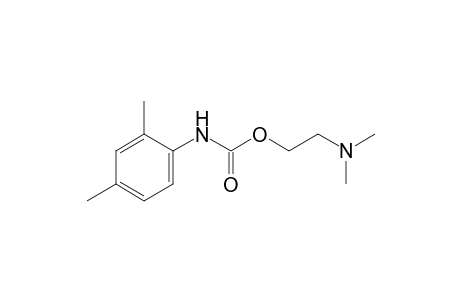 2,4-dimethylcarbanilic acid, 2-(dimethylamino)ethyl ester