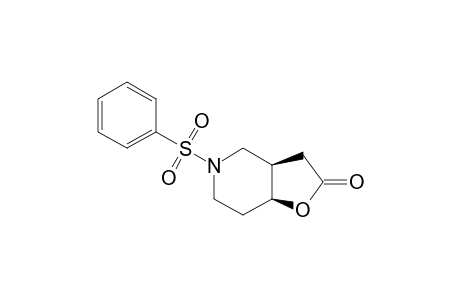 (1R*,5S*)-7-PHENYLSULFONYL-2-OXA-7-AZABICYCLO-[4.3.0]-NONAN-3-ONE