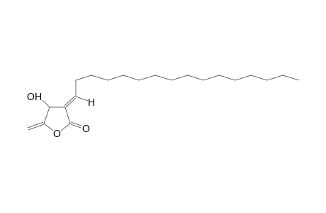 2(3H)-FURANONE, 3-HEXADECYLIDENE-DIHYDRO-4-HYDROXY-5-METHYLENE-