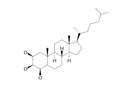 2,3,4-TRIHYDROXY-CHOLESTANE