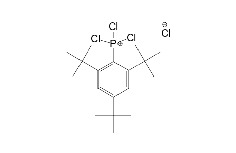 SALT-#6A