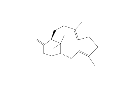 (1-S,3-E,7-E,11-R)-(+)-VERTICILLA-3,7,12-(18)-TRIENE