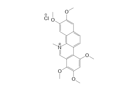 SANGUILUTINE-CHLORIDE