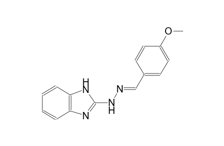 4-Methoxybenzaldehyde 1H-benzimidazol-2-ylhydrazone