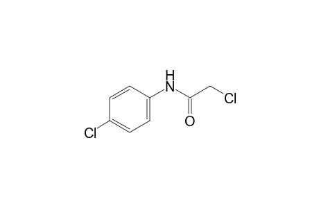 2,4'-Dichloroacetanilide