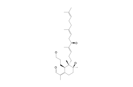 ISOIRIDOGERMANAL