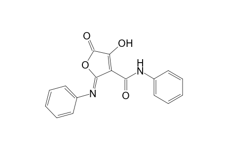 3-hydroxy-4-(N-phenylcarbamoyl)-5-(N-phenylimino)-2(5H)-furanone