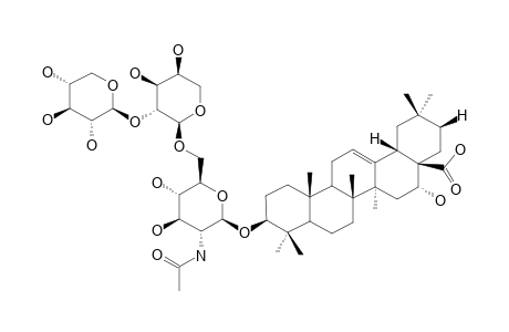 ACACIOSIDE-A;3-O-[BETA-D-XYLOPYRANOSYL-(1->2)-ALPHA-L-ARABINOPYRANOSYL-(1->6)-2-ACETAMIDO-2-DEOXY-BETA-D-GLUCOPYRANOSYL]-ECHINOCYSTIC-ACID