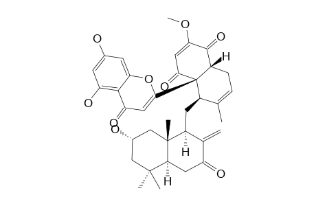 DICHROSTACHINE_J