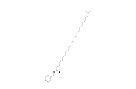 benzyl 24-methylhexacosanoate