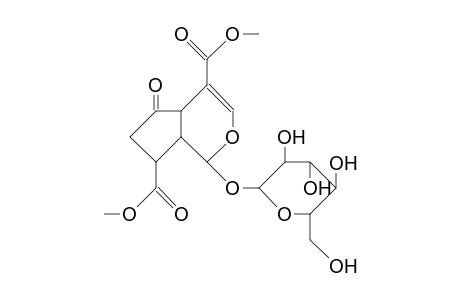 Griselinoside