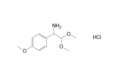 1-(4-Methoxyphenyl)-2,2-dimethoxyethylamine Hydrochloride