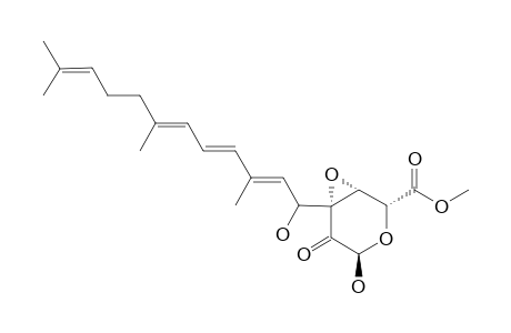 TRICHOTHOSPORON_A