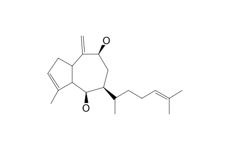 DICTYOL B