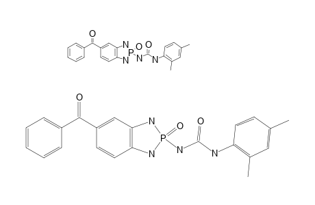 N-(2,4-DIMETHYLPHENYL)-N'-(2,3-DIHYDRO-2-OXIDO-5-BENZOYL-1H-1,3,2-BENZODIAZAPHOSPHOL-2-YL)-UREA