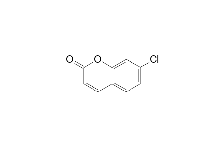 7-CHLORCOUMARIN