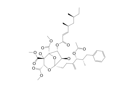 #4;[1-S-[1-ALPHA-(4R*,5S*),3-ALPHA,4-BETA,5-ALPHA,6-ALPHA-(2E,4R*,6R*),7-BETA]]-1-[4-ACETYLOXY-5-METHYL-3-METHYLENE-6-PHENYLHEXYL]-4,6,7-TRIHYDROXY-2,8-DIOXABI