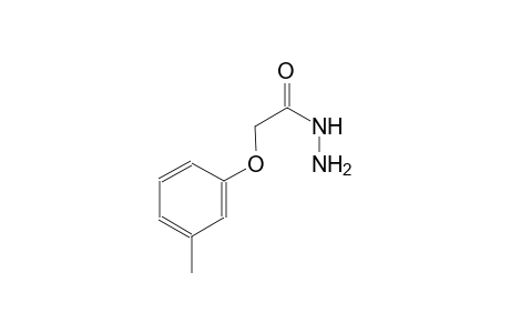 2-(3-methylphenoxy)acetohydrazide