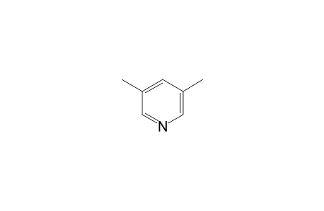 3,5-Dimethylpyridine