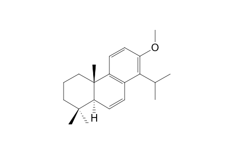 13-METHOXY-TOTARA-6,8,11,13-TETRAENE