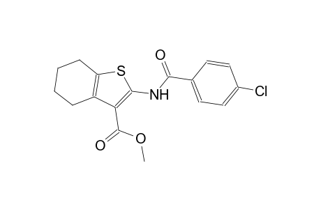 methyl 2-[(4-chlorobenzoyl)amino]-4,5,6,7-tetrahydro-1-benzothiophene-3-carboxylate