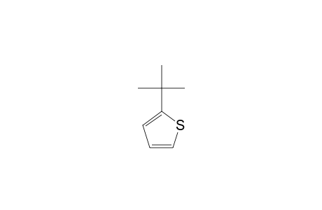 2-tert-Butylthiophene