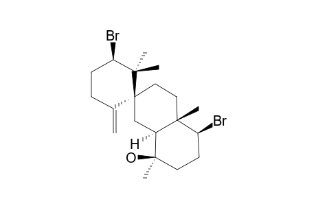 KAHUKUENE-B