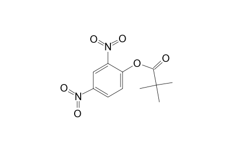 2,4-Dinitrophenyl pivalate