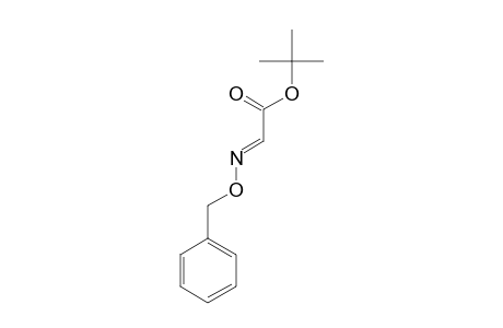 ANTI-TERT.-BUTYL-GLYOXYLATE-O-BENZYLOXIME