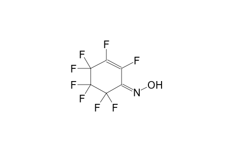 OCTAFLUORO-2-CYCLOHEXENE-1-ONE OXIME