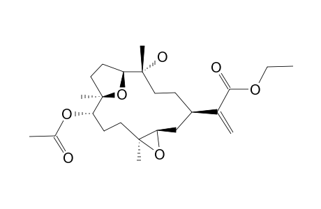 SINULAFLEXIOLIDE_F