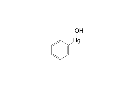 HYDROXYPHENYLMERCURY