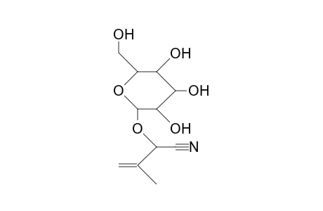 Epiproacacipetalin