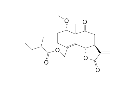 1-ALPHA-METHOXY-15-(2-METHYLBUTYRYLOXY)-9-OXO-GERMACRA-4-TRANS,10(14),11(13)-TRIEN-12,6-ALPHA-OLIDE