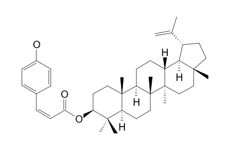 3-BETA-Z-COUMAROYLLUPEOL