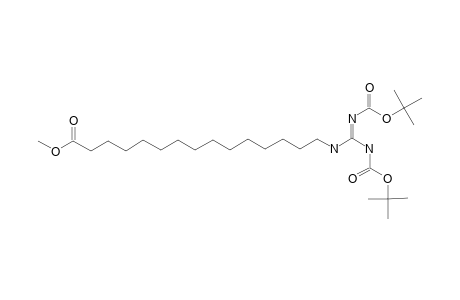 1-METHYL-15-[BIS-(TERT.-BUTOXYCARBONYL)-GUANIDINO]-PENTADECANOATE